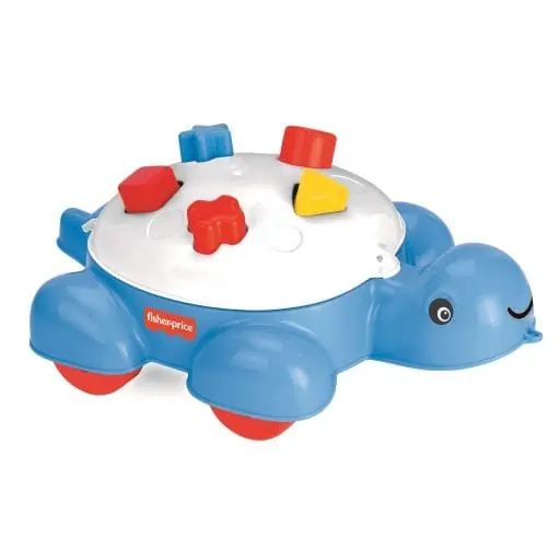 Tortue jeu de forme Dolu jouet