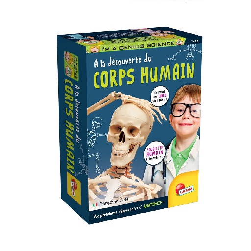 Le corps humain lisciani